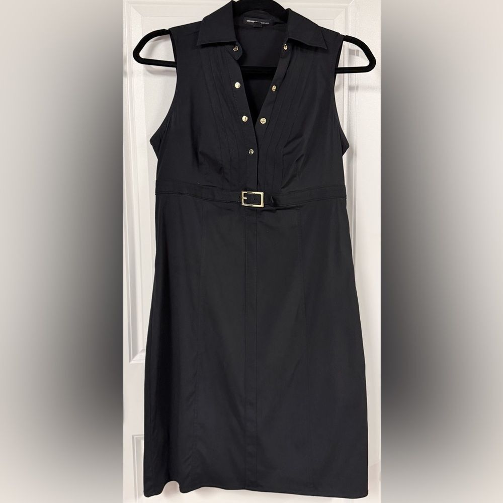 Express Design Studio Snap Front Shirt Dress